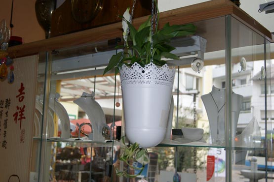 Blumentopf zum Hangen